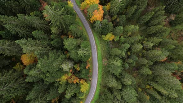 Aerial top down view following a man hiking in colorful forest in fall season