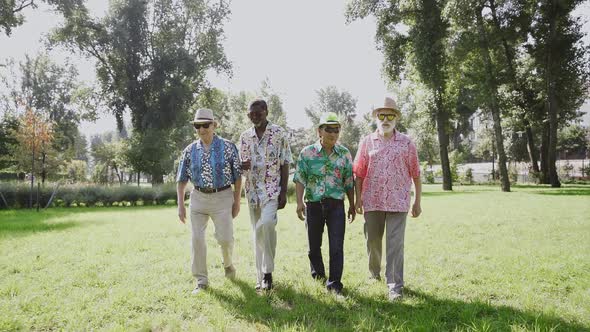 Four old friends at the park