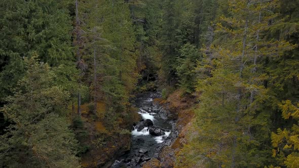 Aerial flying over a small river flowing through a forest in the middle of wilderness.