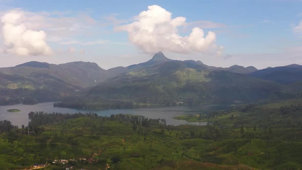 Tea Plantations in the Mountains