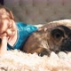 Joyous kid and dog laying on sofa - VideoHive Item for Sale