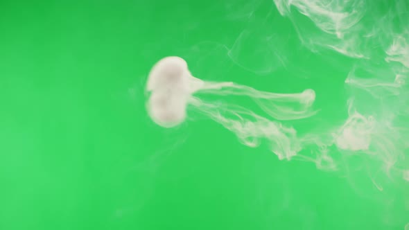 Smoke Rings on Green Chroma Key Background alt