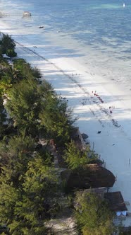 Beach on the Coast of Zanzibar Island Tanzania