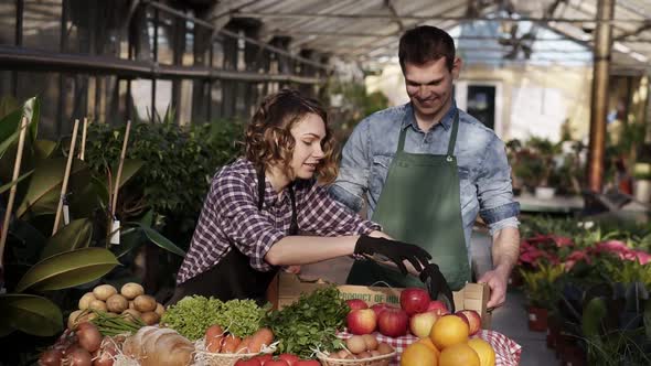 Cheerful Young People Farmers are Putting Organic Food on Table at Farm Sales From the Box Man Holds