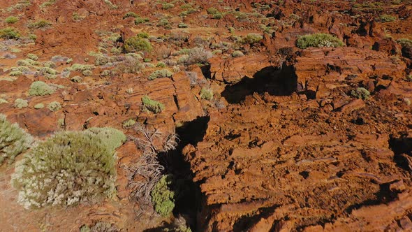 Aerial View of Solidified Lava and Sparse Vegetation in the Teide National Park