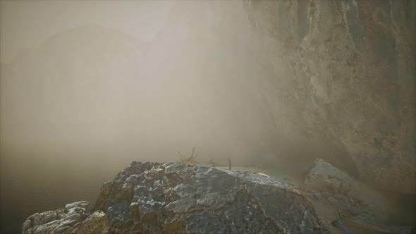 Rocky Cliff with Sand Beach in Deep Fog