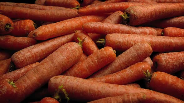 Raw Carrots In Pile