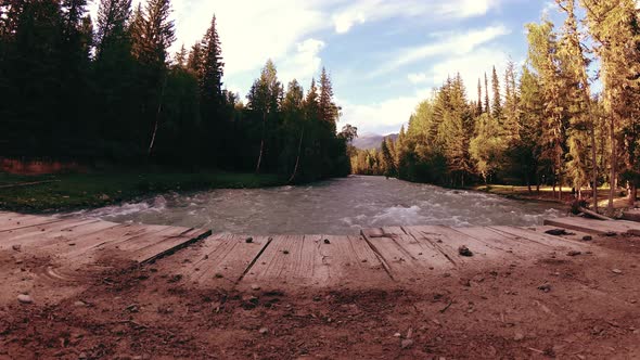 Meadow at Mountain River Bank. Landscape with Green Grass, Pine Trees and Sun Rays. Movement on