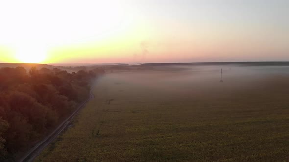 Aerial View Sunset and Fog Over the Field, A Fabulous Evening with a Pink Sunset and Fog