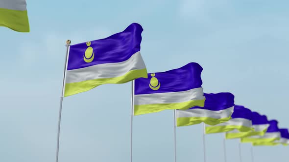 Buryatia  Row Of Flags  alt
