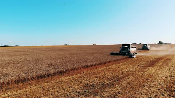 Grain Harvesters Are Reaping Crops in the Field