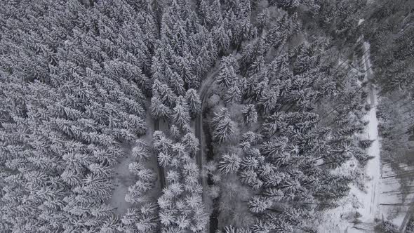 FPV Drone Clip From A Snow Covered Forest