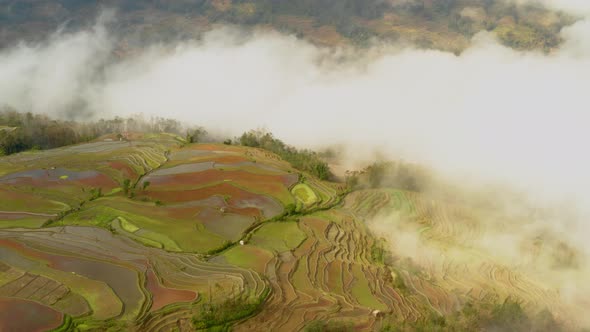 Aerial shot of the famous terraced rice fields of Yuanyang County China