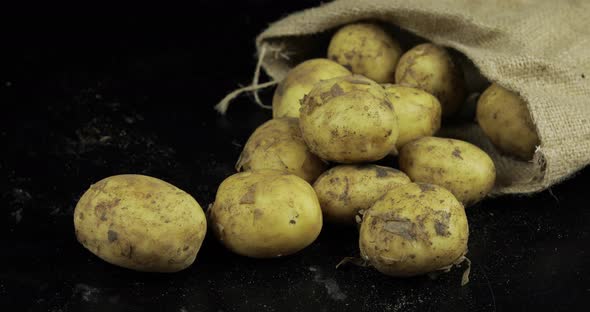 Potatoes on Black Surfase in a Canvas Bag. Fresh Dirty Raw Potato in a Pile