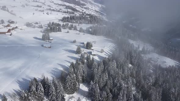 Picturesque alpine landscape with coniferous forest growing on snowy mountain slope alt