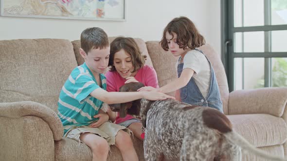 Three kids playing with a German pointer dog inside a house
