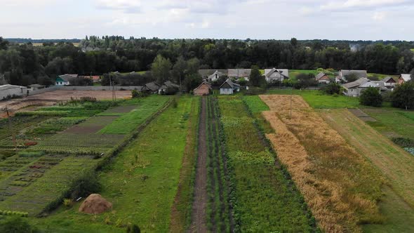 Aerial View of a Garden With Diverse Crops on a Summer Day Ascending Revealing Neighborhood