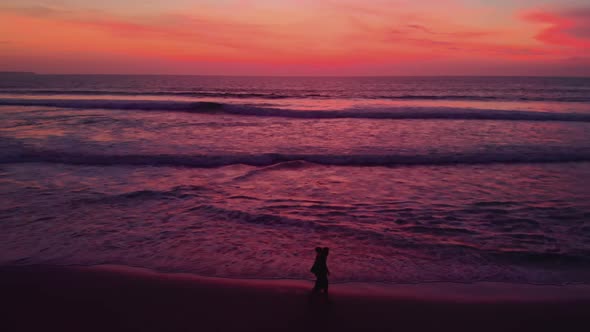 Flight at Sunset Overlooking the Indian Ocean in Bali Indonesia