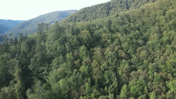 Aerial View of the Carpathian Mountains in Autumn. Ukraine