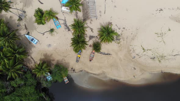 Top View on the Beach with Small Boats on It Palm Trees Paradise