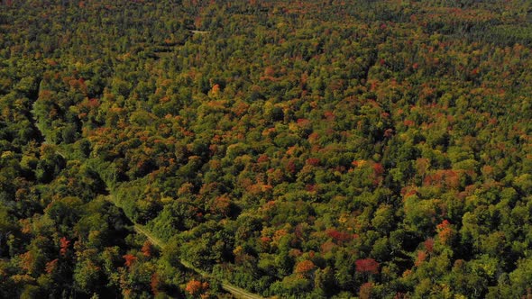 Aerial drone shot tilting up over colorful autumn trees to reveal a large blue lake in the forest as