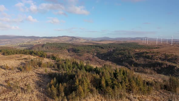 The Reforestation Continues at Bonny Glen in County Donegal  Ireland