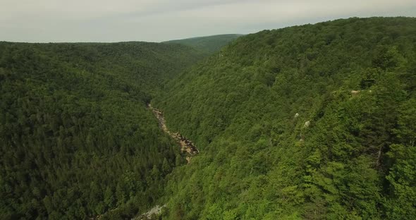 Aerial views of Blackwater Falls State Park Gorge in West Virginia in summer.