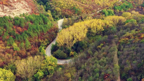  Bird's eye view Golden Autumn Season