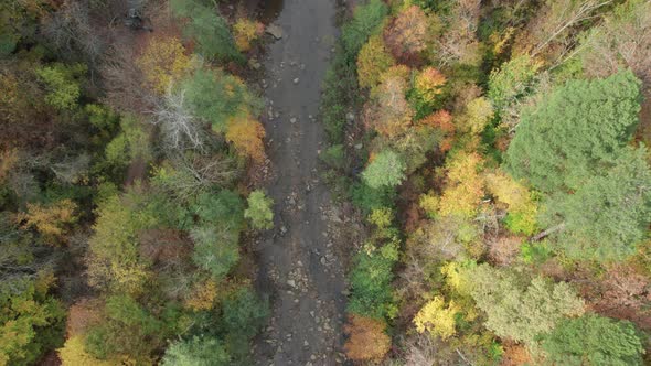 Colorful Autumn View of the Caucasus Mountains