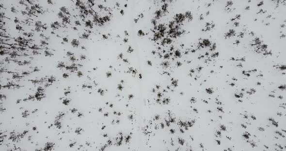 Topdown Zoom Out Video of a 2 Hikers Standing on a Bog