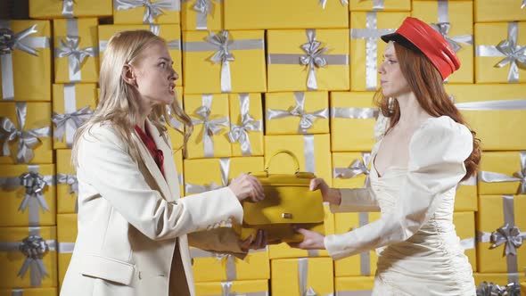 Two Young Women Can't Share a Bag They Pull It on Top of Each Other Against an Isolated Background