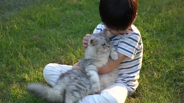 Cute Asian Child Playing With Persian Cat In The Park Outdoor 