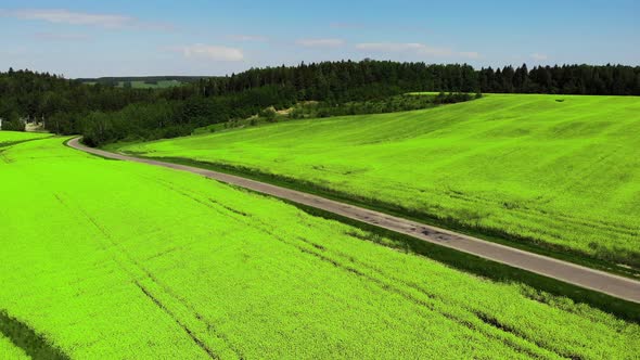 Drone Flying Over Green Field Harvest Crops in the Countryside with Road alt