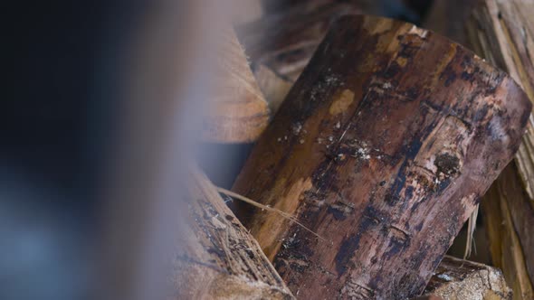 Close-up reveal pan of pile of dry brown firewood, shallow DOF