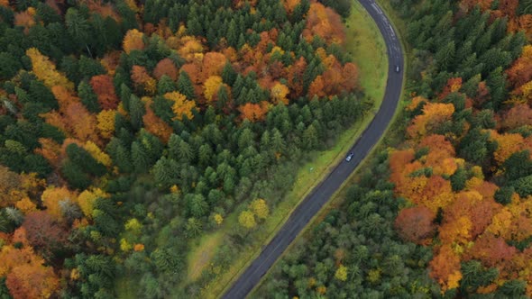 Aerial View Of Mountain Road At The Autumn Forest 7