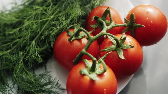 Fresh Farm Vegetables Close Up Tomatoes with Dill in Drops of Water