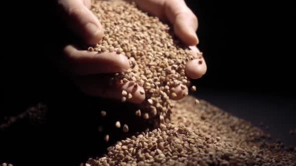 Female Hands Pours Buckwheat Grain. Slow Motion