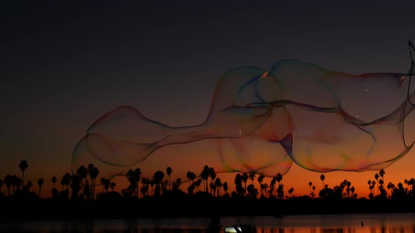 Palm Trees Silhouettes Sunset Ocean Beach Soap Bubbles California Coast USA