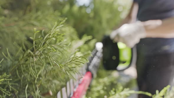 Slow motion of a Hedge Trimmer cutting a bush - close up