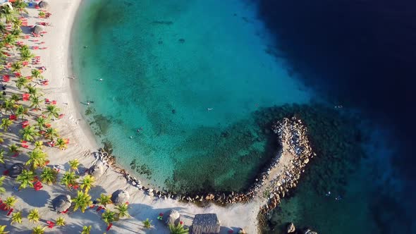 Overhead aerial view of Blue Bay beach in Curacao, Dutch Caribbean island, palm trees on a sunny day