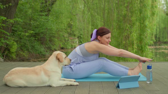 Young Adult Woman Doing Stretching Exercise with Pet Dog Labrador Retriever Lying Next to Its Owner