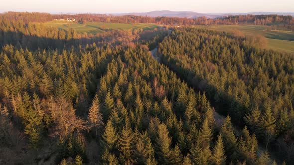 Narrow, winding road that leads through a vast coniferous forest in Germany. Aerial fly over with ca