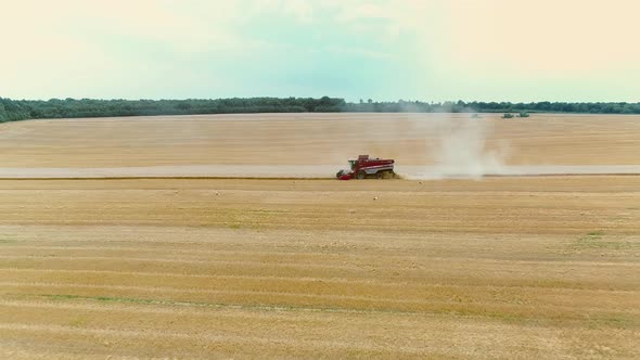 Agricultural Combines Harvesting Wheat On The Big Field.