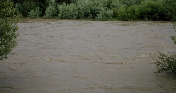 Rriver Water Big and Dirty After Heavy Rain. Slow Motion. Close Up