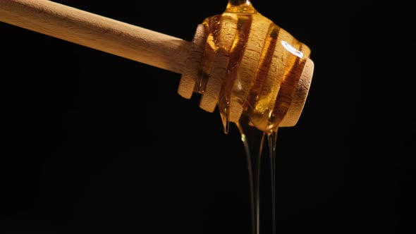 Honey Dipper with Honey on Black Background