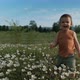 Steadicam Shot of a Little Happy Boy Running Across a Flower Field - VideoHive Item for Sale