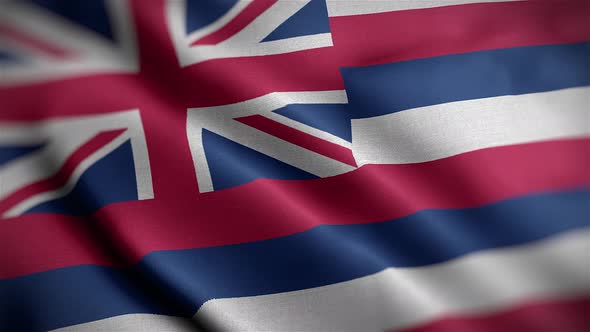 Hawaii State Flag Angle