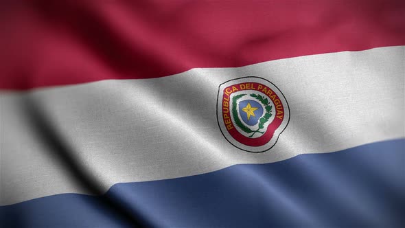 Paraguay Flag Closeup Blowing In Wind