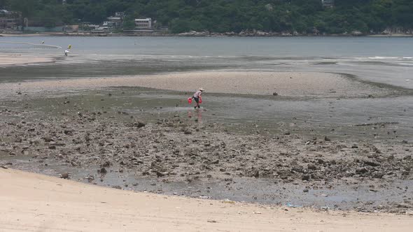 Chinese Sea Coast Workers