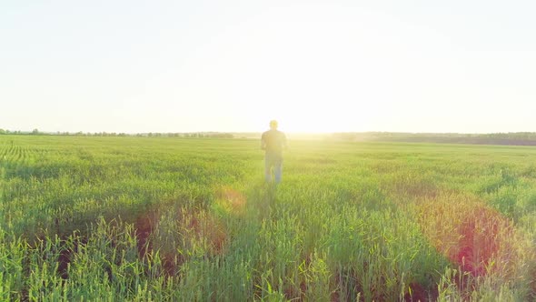 Aerial Video of a Man on Agricultural Field with Wheat